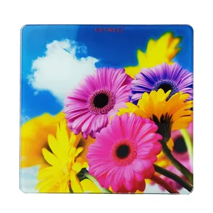 Surgical Digital Bathroom Weigthing Scale (GEt Well)